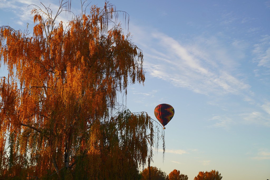 Apple Juicing Weekend 2023 Flickr