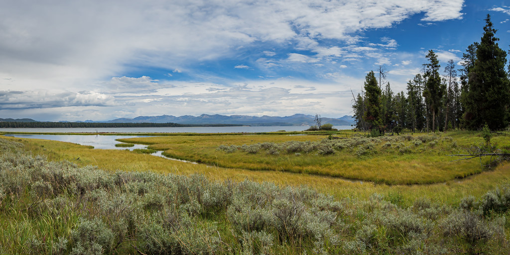 Creek, Lagoon, and Yellowstone Lake Wyoming Yellowstone … Flickr