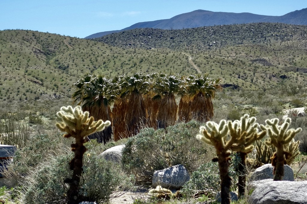 Borrego Springs at SP visitor center, CA, USA P1 Konstantin's Europe and more Thx4˃2MMviews