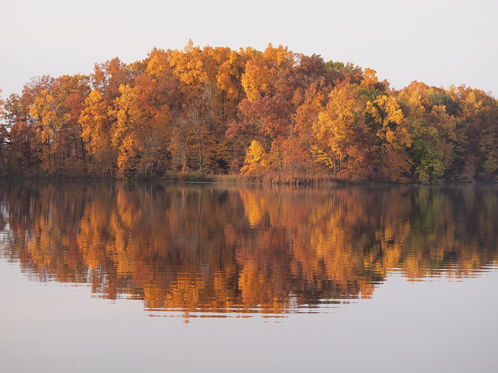 Cub Lake, MI OLYMPUS DIGITAL CAMERA Mark Stachofsky Flickr