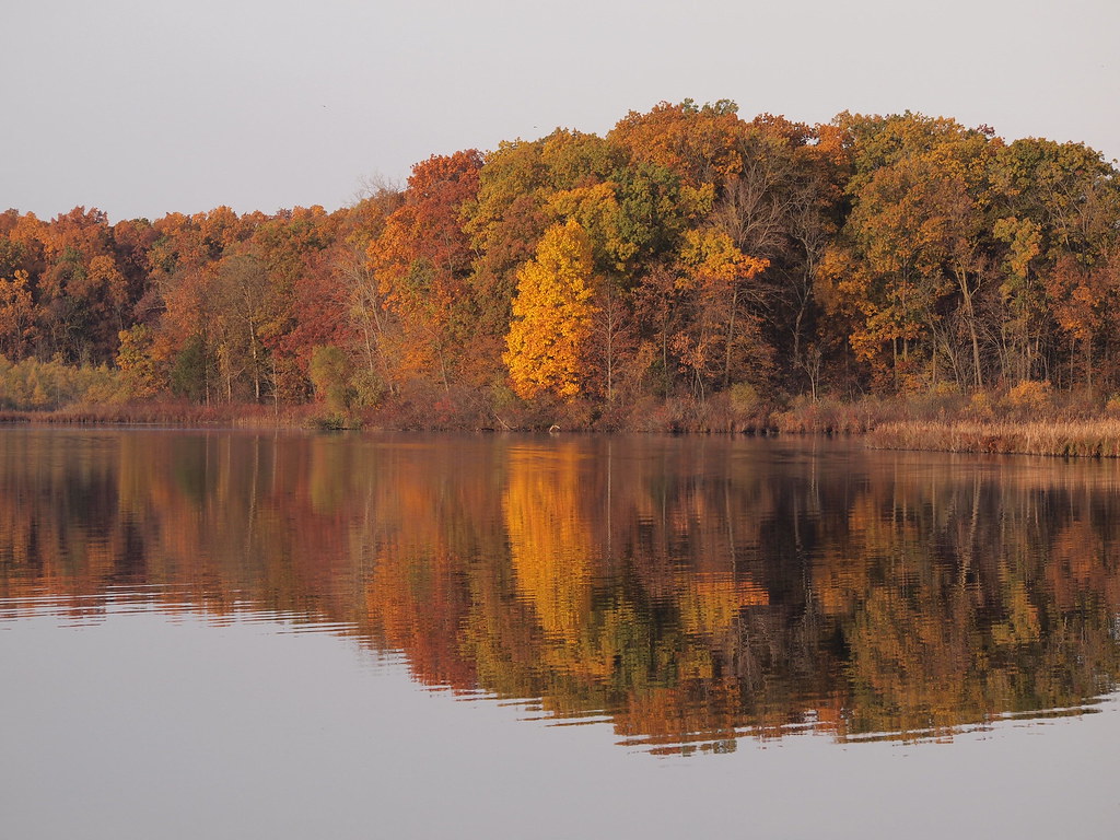 Cub Lake, MI OLYMPUS DIGITAL CAMERA Mark Stachofsky Flickr
