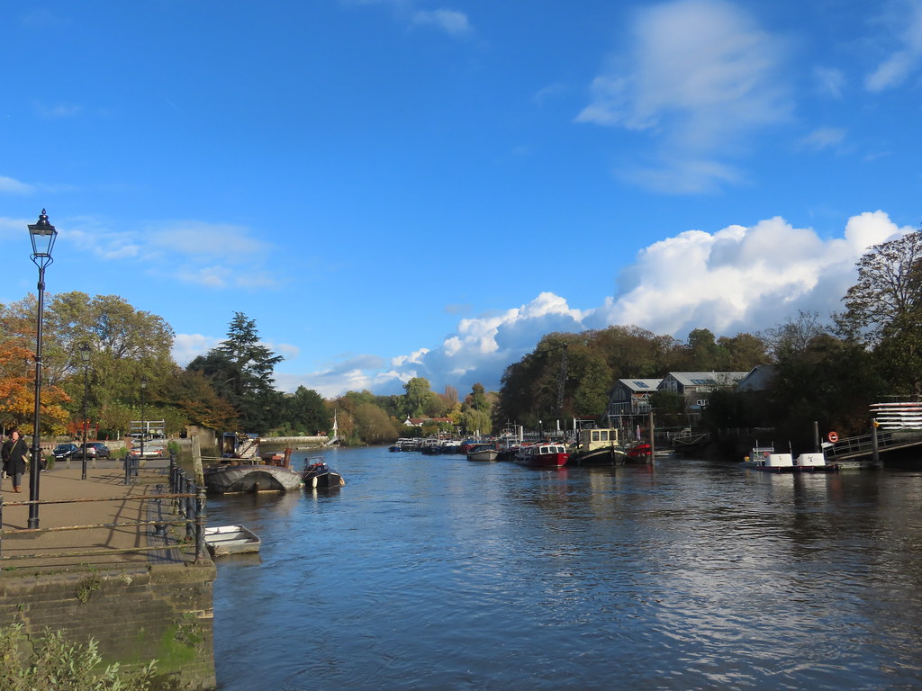 Twickenham Riverside IMG 4668 river crane sanctuary Flickr