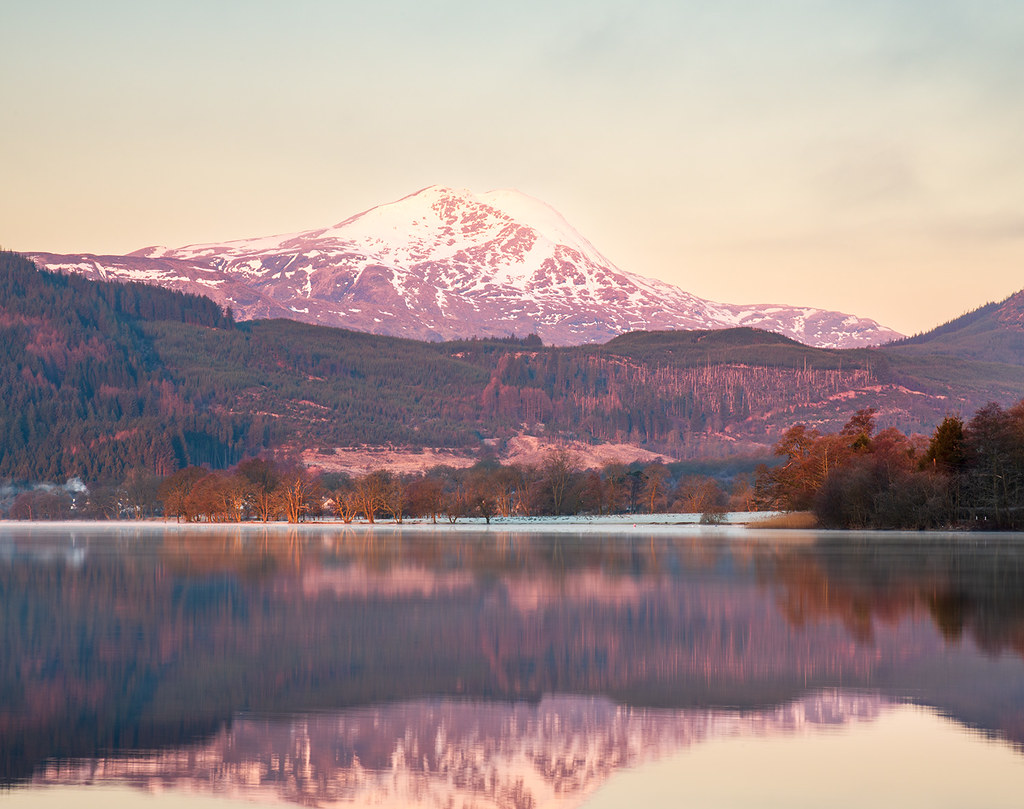 Ben Lomond pink What started out as looking for a certain … Flickr
