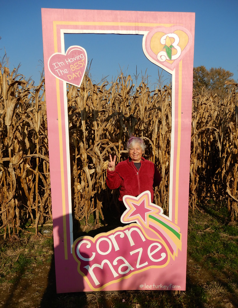 Doll Box Display Case At the Lee Turkey Farm, East Windsor… Flickr