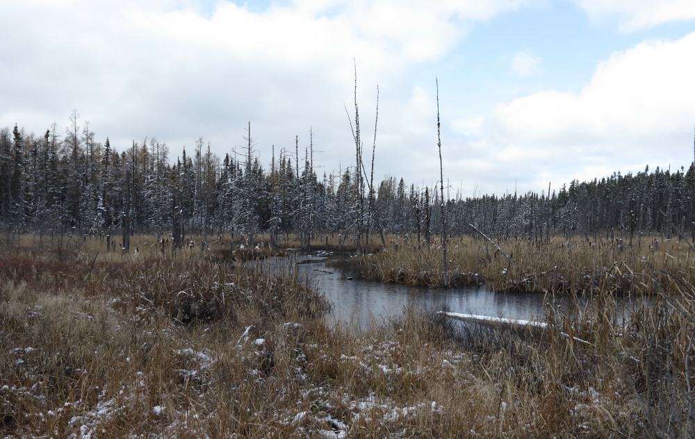 IMG_8391 Marais, SainteHedwidge Josée Rousseau Flickr