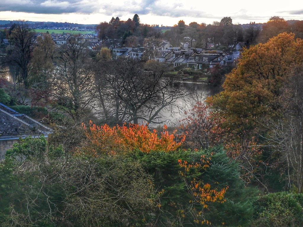 Tannoch Loch,Milngavie looking south. Taken from embankmen… Flickr