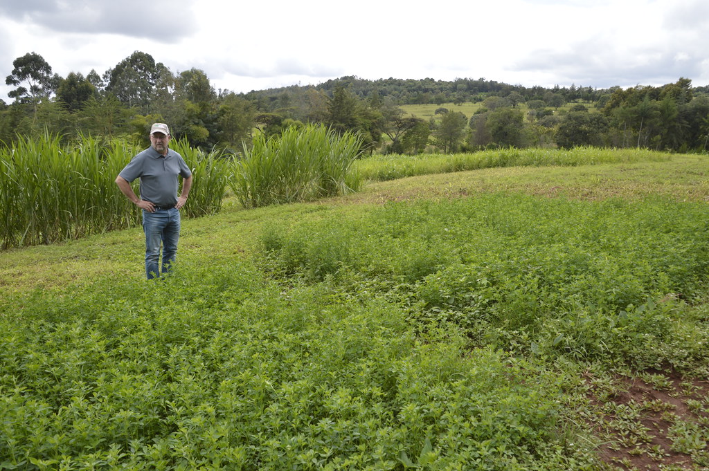 _DSC1108 Land O'Lakes Venture37 Flickr