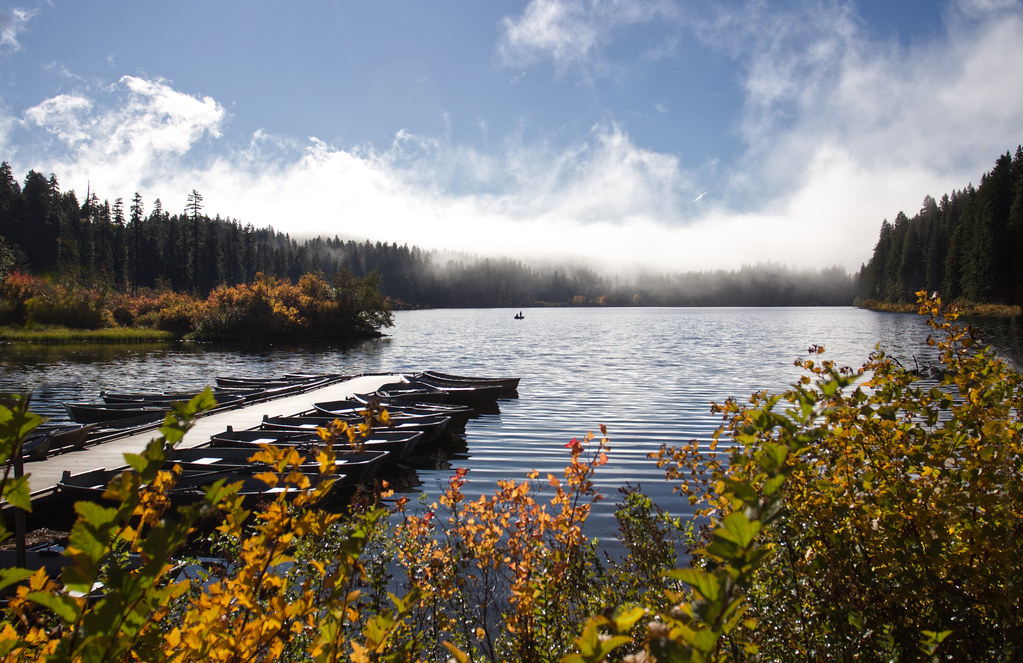 Clear Lake in the Fall, Oregon Clear Lake (Linn county) is… Flickr