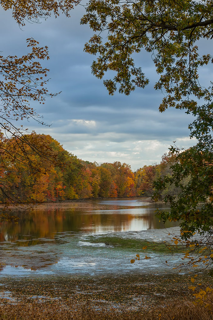 Wallace Lake a one time quarry of Berea sandstone thom polimeros