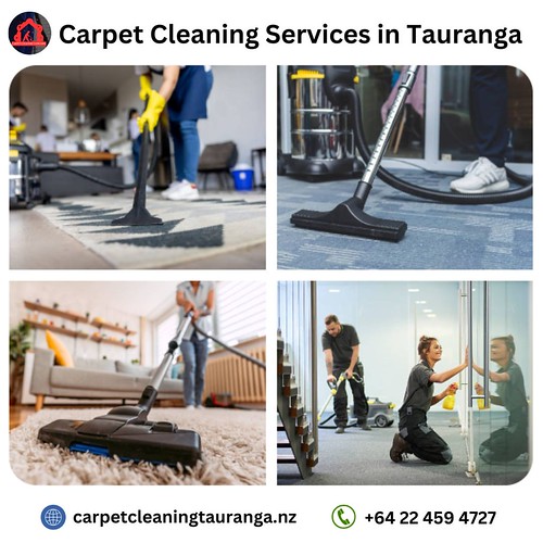 Carpet Cleaning Tauranga Flickr