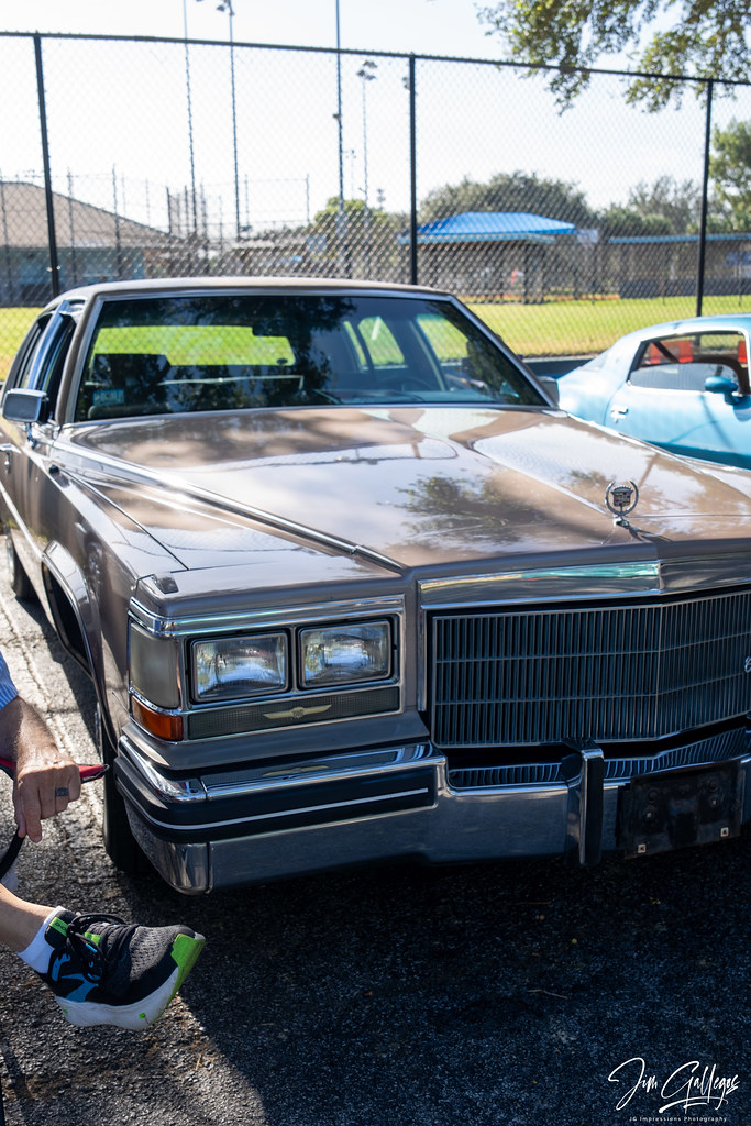 TCVCC Sally Franklin Flickr