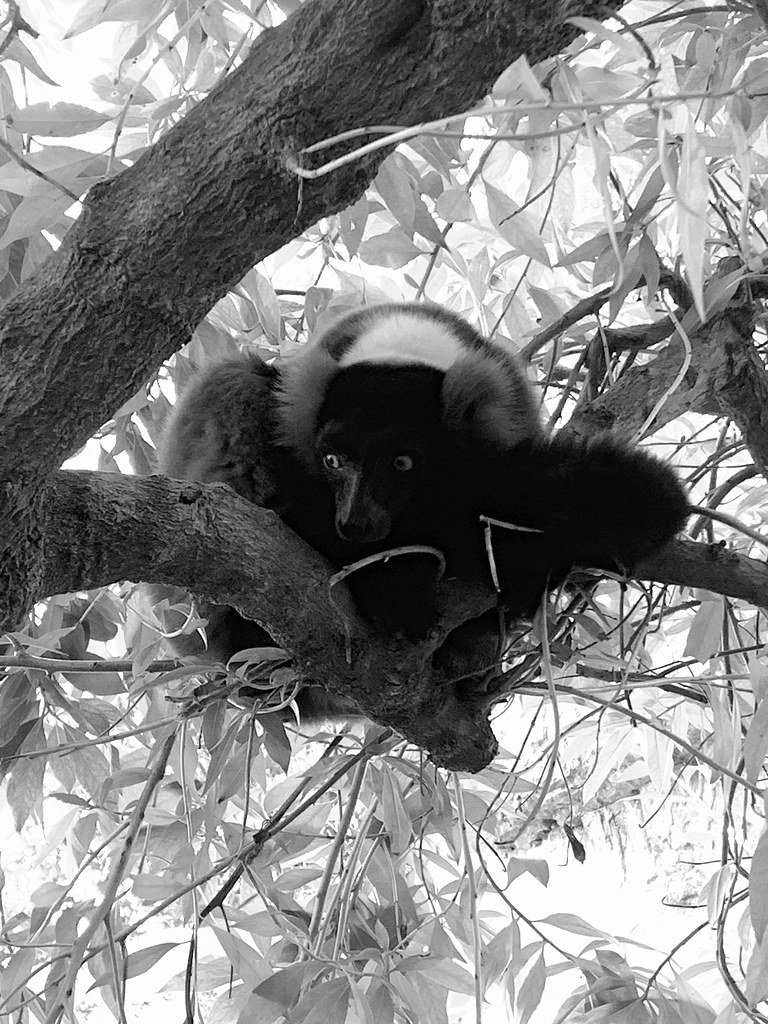 Untitled Federico Angelini Flickr