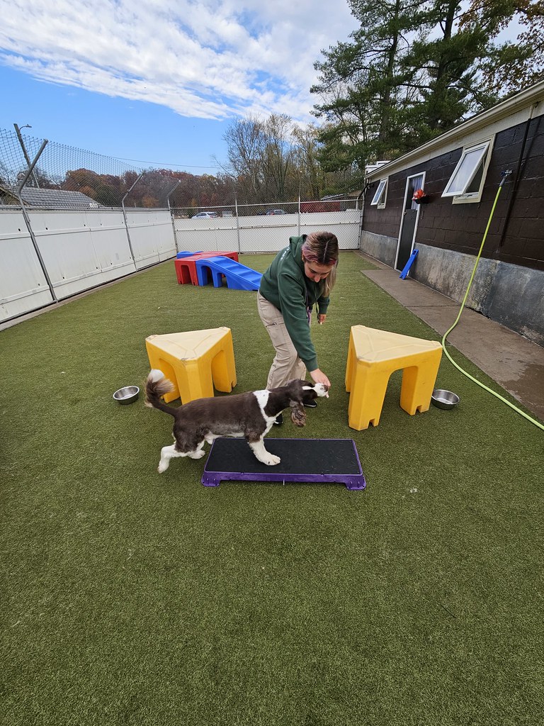 20231107_134319 Holiday House Pet Resort and Training Center Flickr