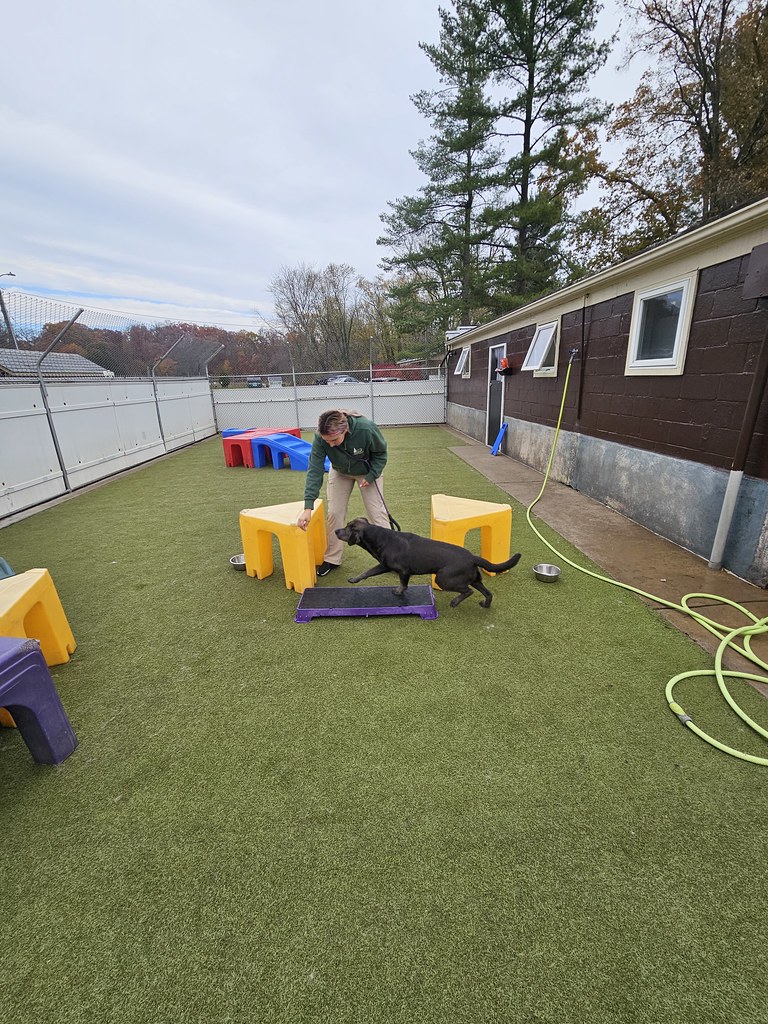 20231107_125014 Holiday House Pet Resort and Training Center Flickr