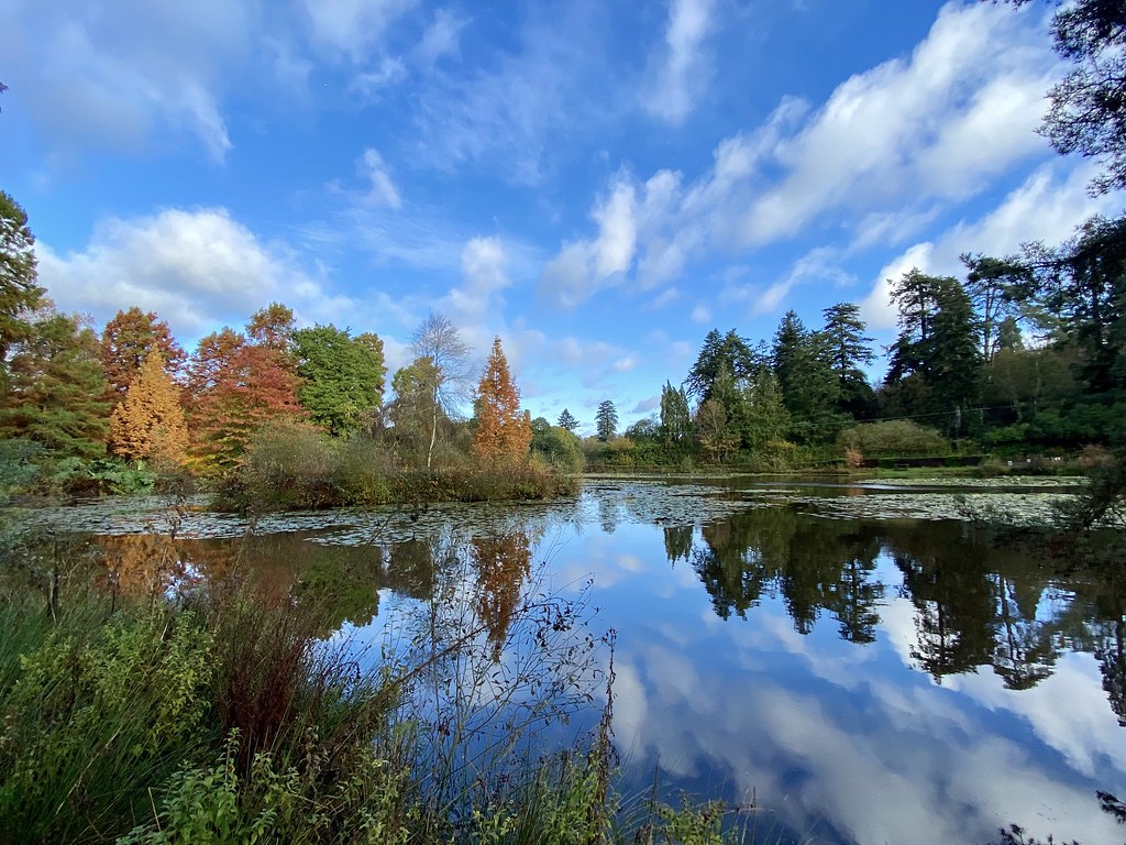 Bedgebury National Taken on sunday on a walk, with… Flickr
