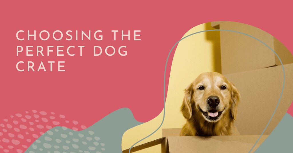 Best Deals on Dog Crates for Black Friday via BEACONPET be… Flickr