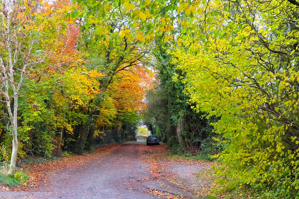 Lower Greenshall Lane, Disley, Cheshire Taken 09/11/2023 HighPeak92