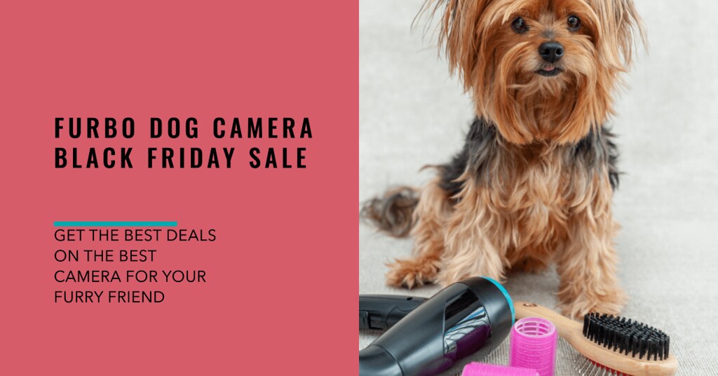 Best Deals on Furbo Dog Camera for Black Friday via BEACON… Flickr