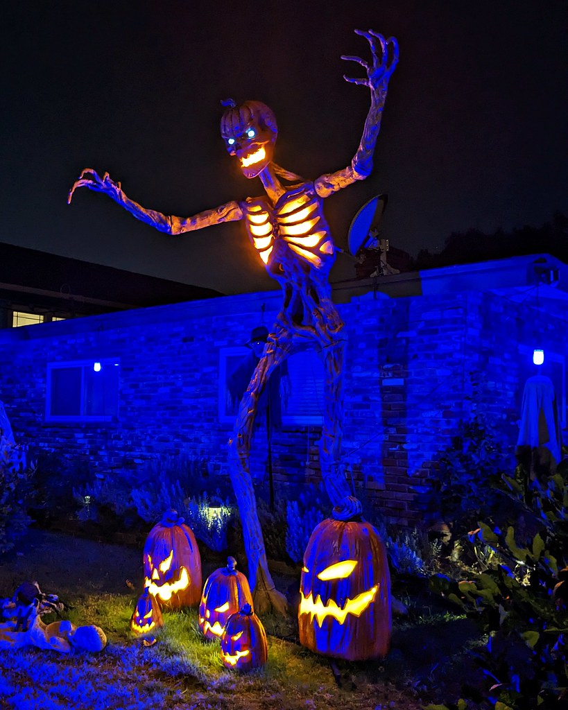 HALLOWEEN CONTEST Roseville Heights Neighborhood Associati… Flickr