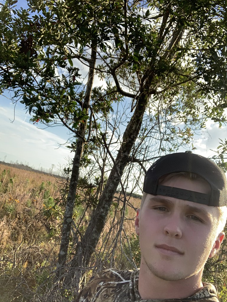 Loblolly bay Lane Dinkins Flickr