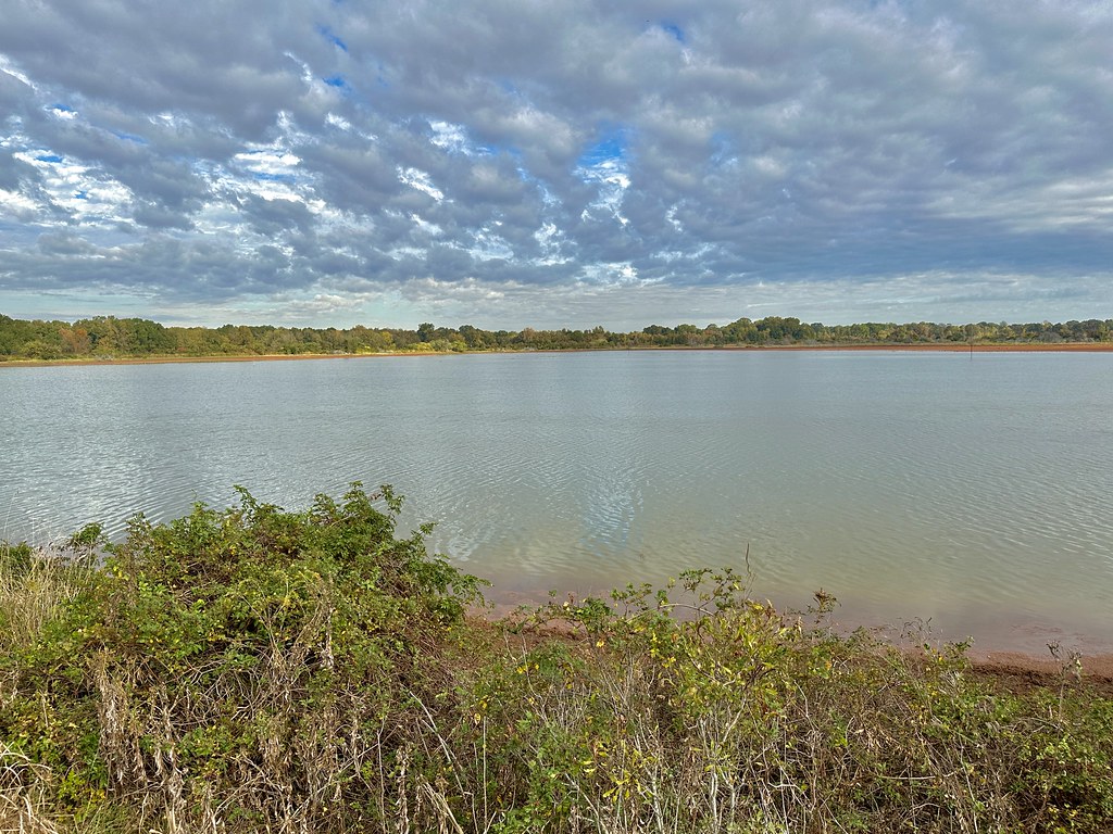 West Irene Rd. impoundments Habitat shot for eBird list Flickr