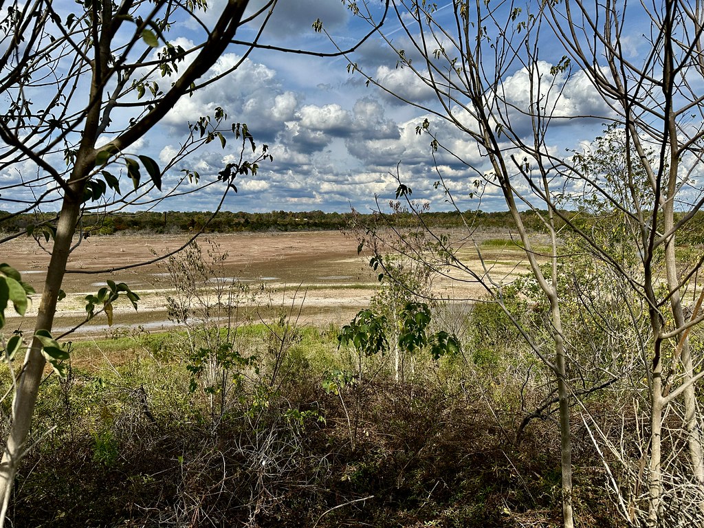 West Irene Rd. impoundments Habitat shot for eBird list Flickr