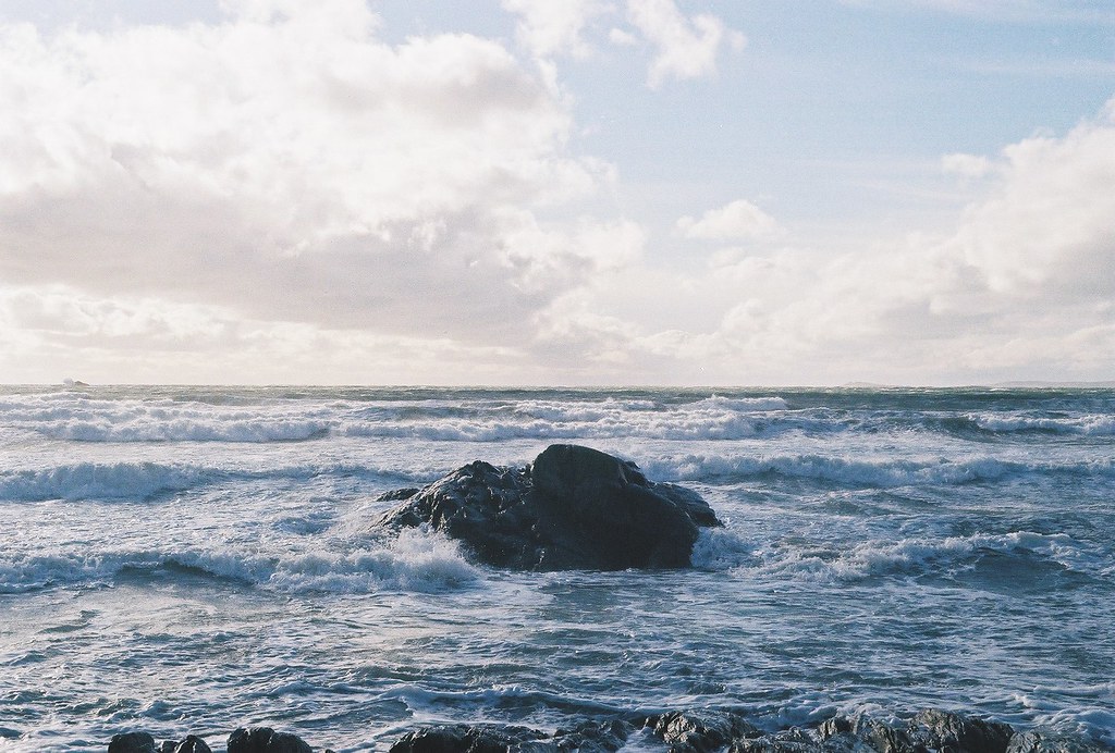 2021 Clam Harbour barrens Liz Robinson Flickr