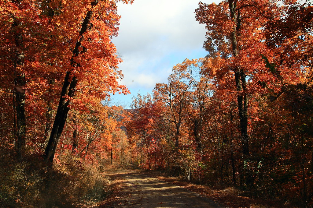 Autumn Color along Road from Combs, Arkansas to White Rock… Flickr