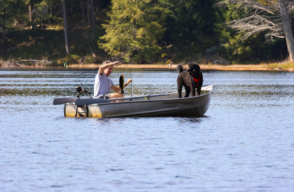 Lilly Lake 20230959 nerdilizer Flickr