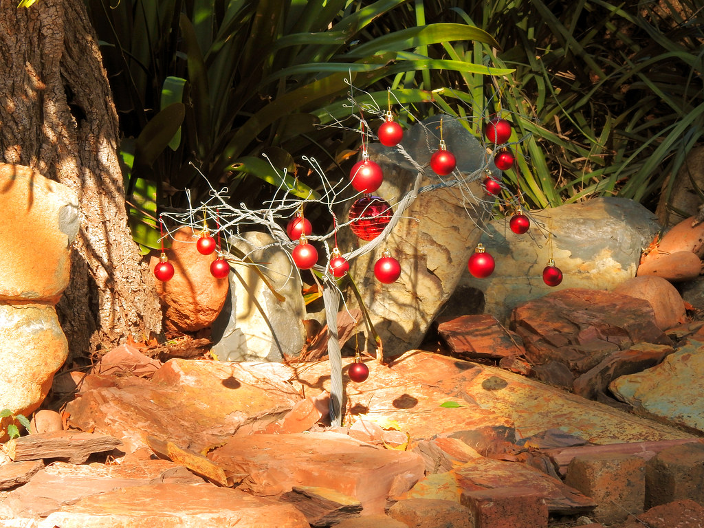 A Christmas tree in Africa Norm Johnson Flickr