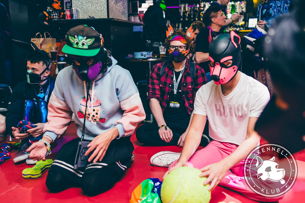 Kennel Klub November 2023 Kennel Klub Flickr