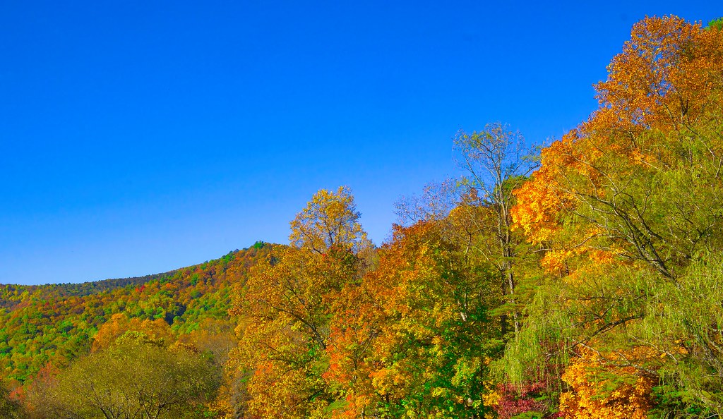 Highway 136 Pickens County Jim Bohl Flickr