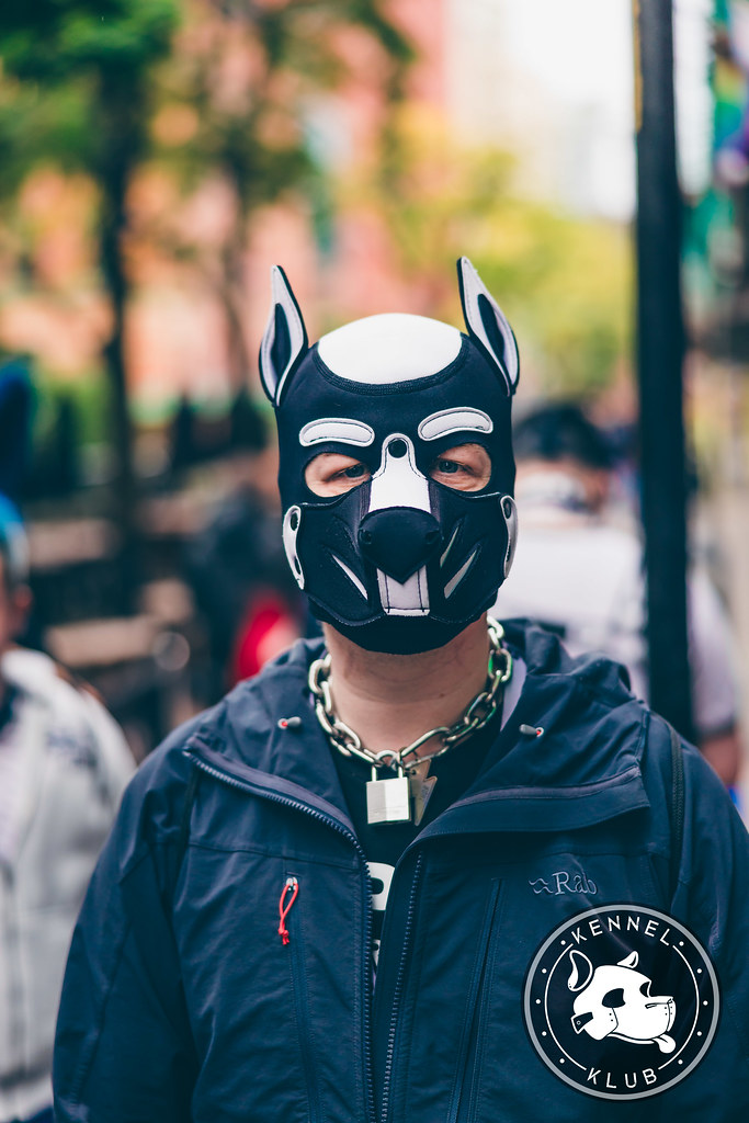 Kennel Klub November 2023 Kennel Klub Flickr