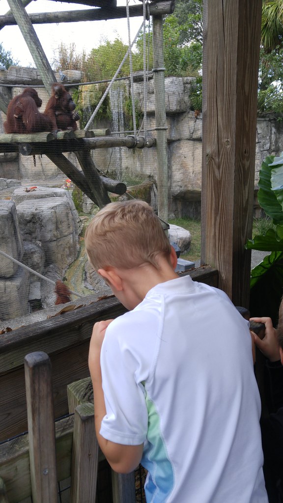 Lowry Park Zoo Having a fun day at the Lowry Park Zoo. heytampa