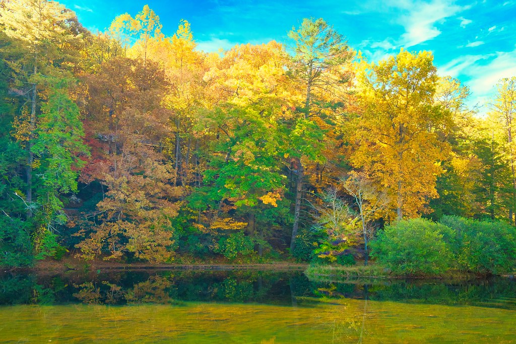 Highway 136 Pickens County Jim Bohl Flickr