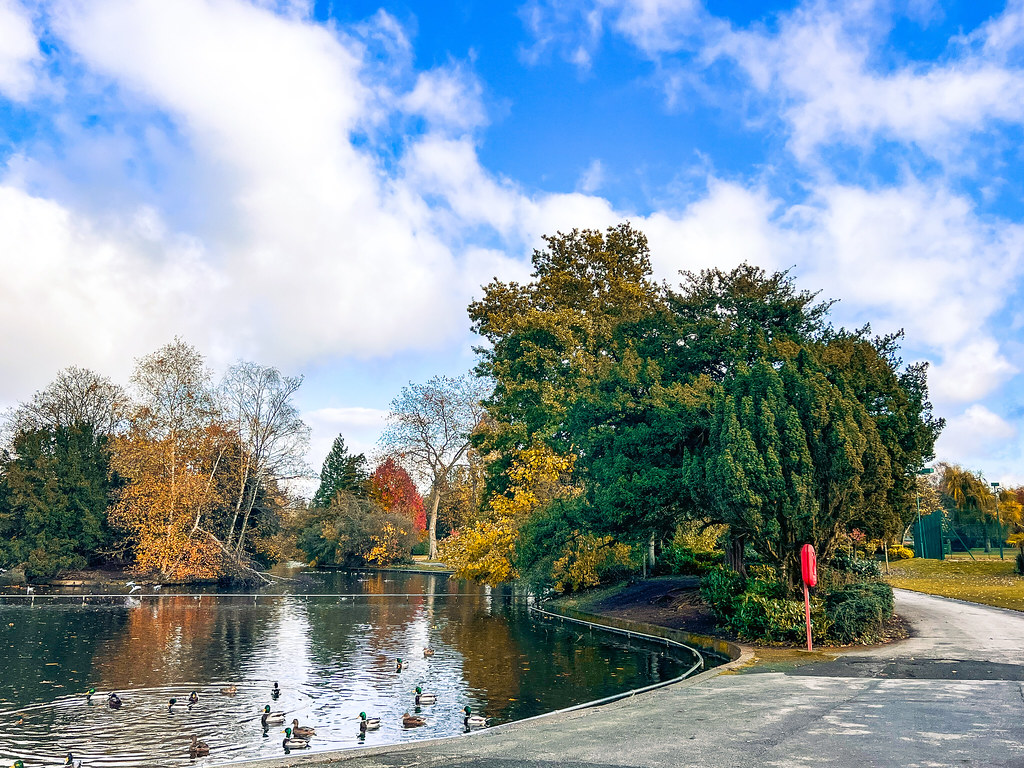 Cannon Hill Park Cannon Hill Park cattan2011 Flickr