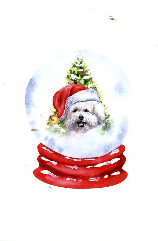 Snow globes My collection Flickr