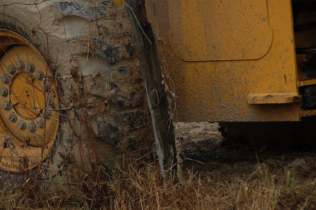 DSC_5263 Florida Mini Olympics 2007 Gainesville Kaile Hultner