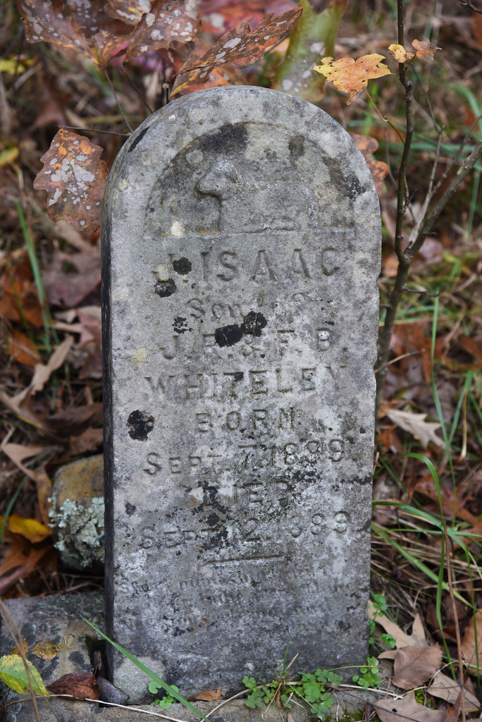 hedgeshomesitequal817 Whiteley Cemetery Lucas Parsch Flickr