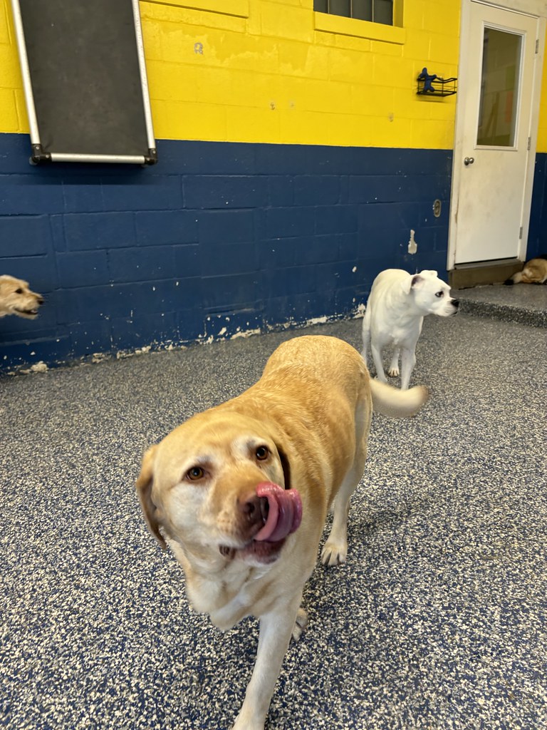 Untitled Greenlin West Flickr