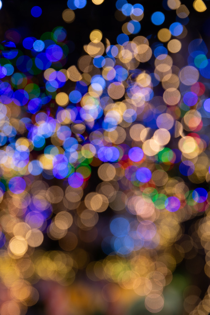 IMG_2780 Christmas lights for sale in the market in Strasb… Flickr