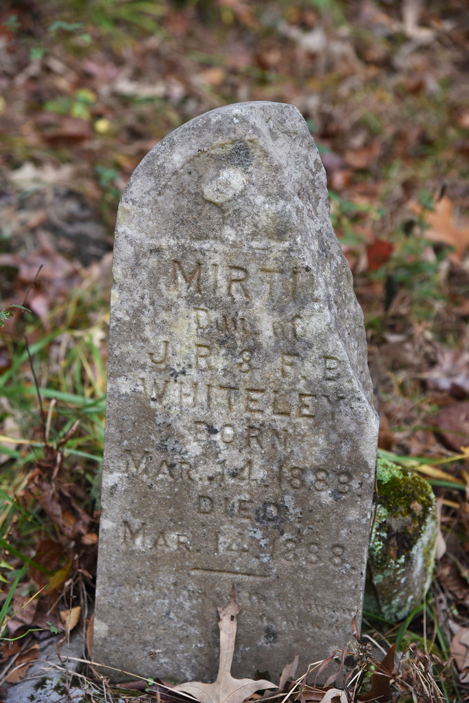 hedgeshomesitequal816 Whiteley Cemetery Lucas Parsch Flickr