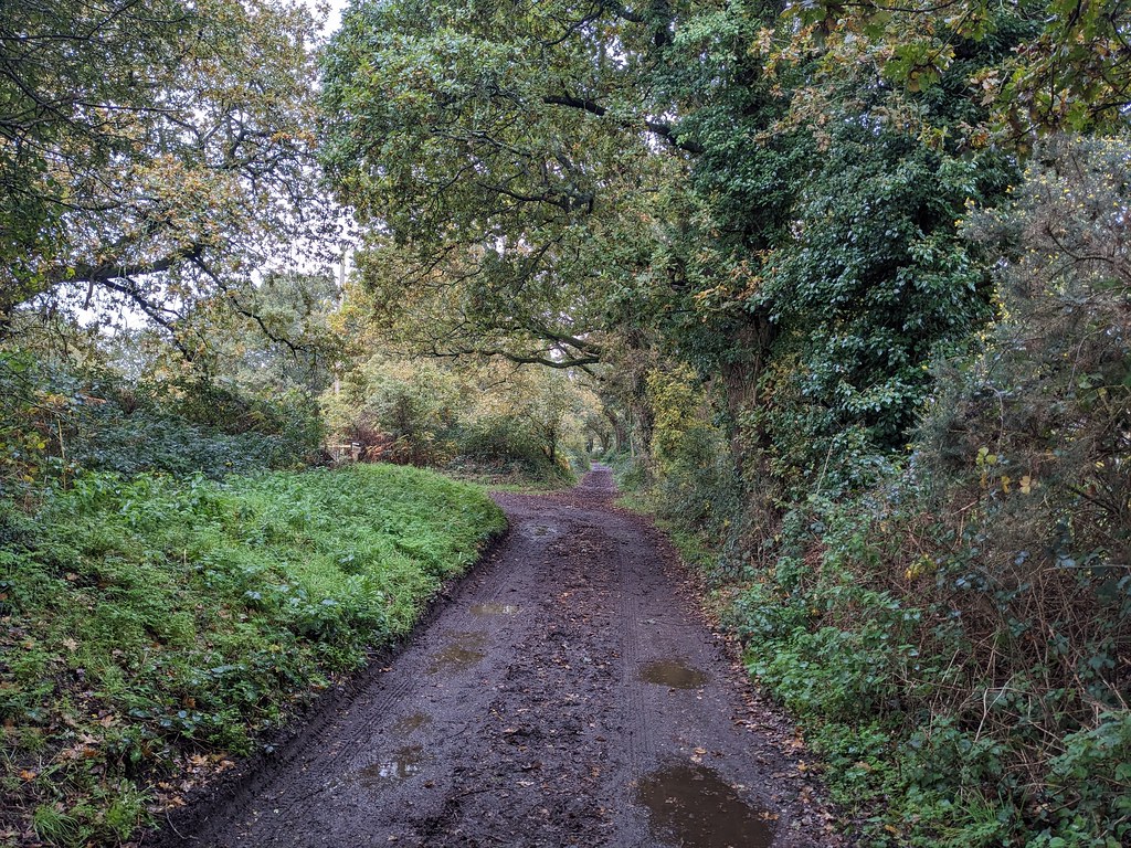 Old Roman Road in Corfe Mullen (8) Kite Flickr