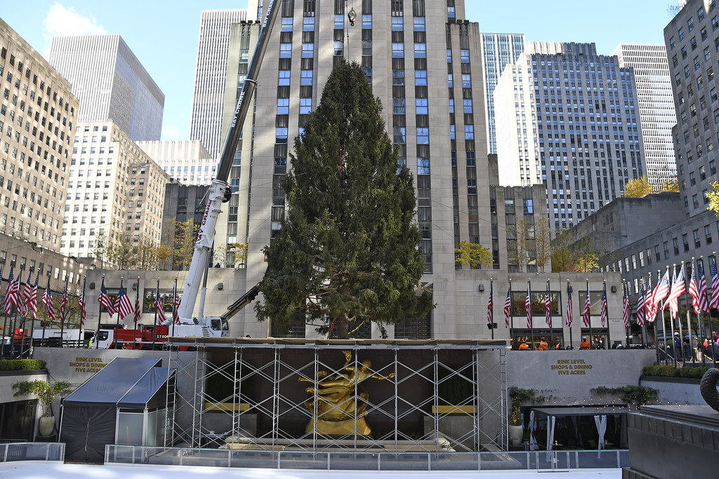 The 2023 Rockefeller Christmas Tree Was Delivered To Rocke… Flickr