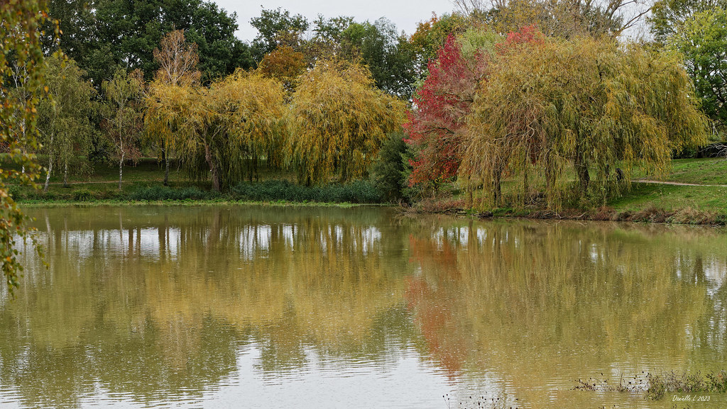 Ste Foy d'Aigrefeuille le lac en automne Danielle Lallemand Flickr
