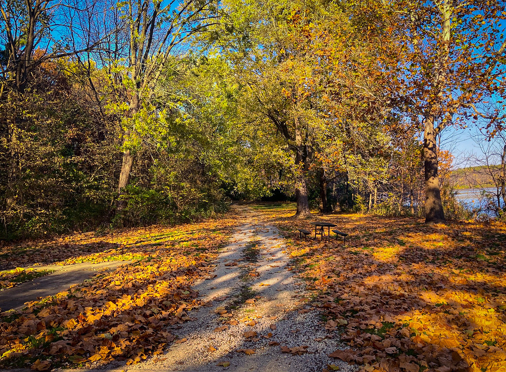Johnson’s Sauk Trail, Kewanee, IL, U.S. 11/4/2023, 346 PM… Flickr