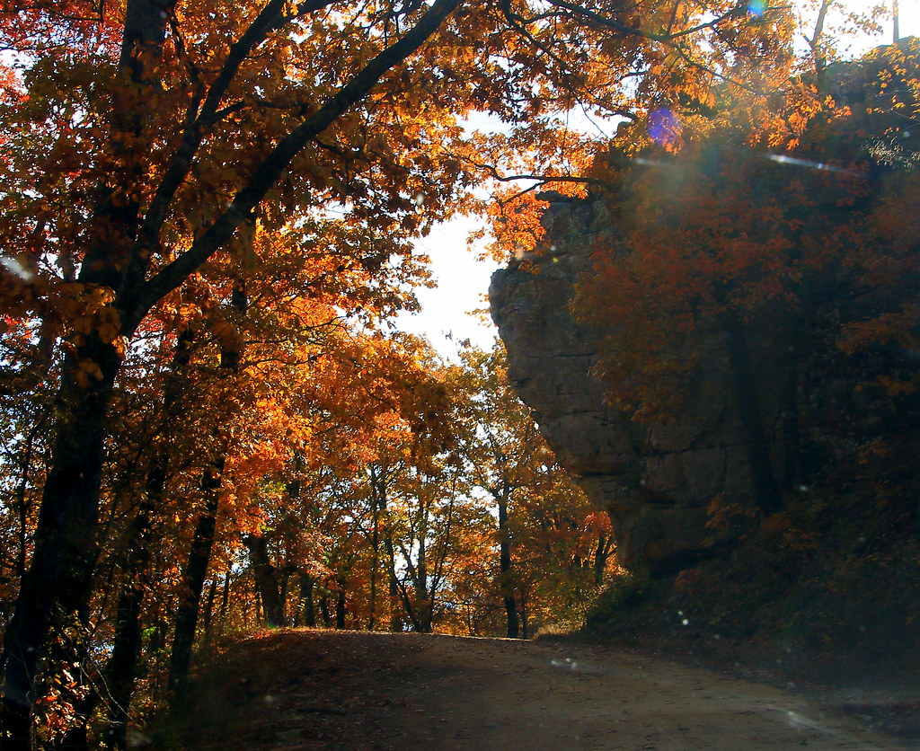 Autumn Color along Road from Combs, Arkansas to White Rock… Flickr