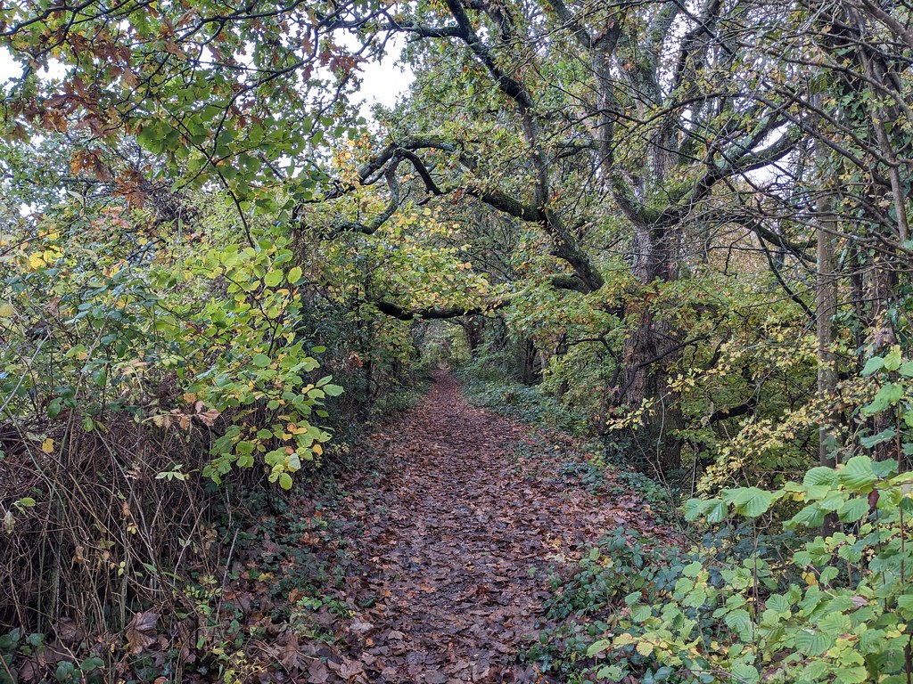 Waymans Way, Corfe Mullen Kite Flickr