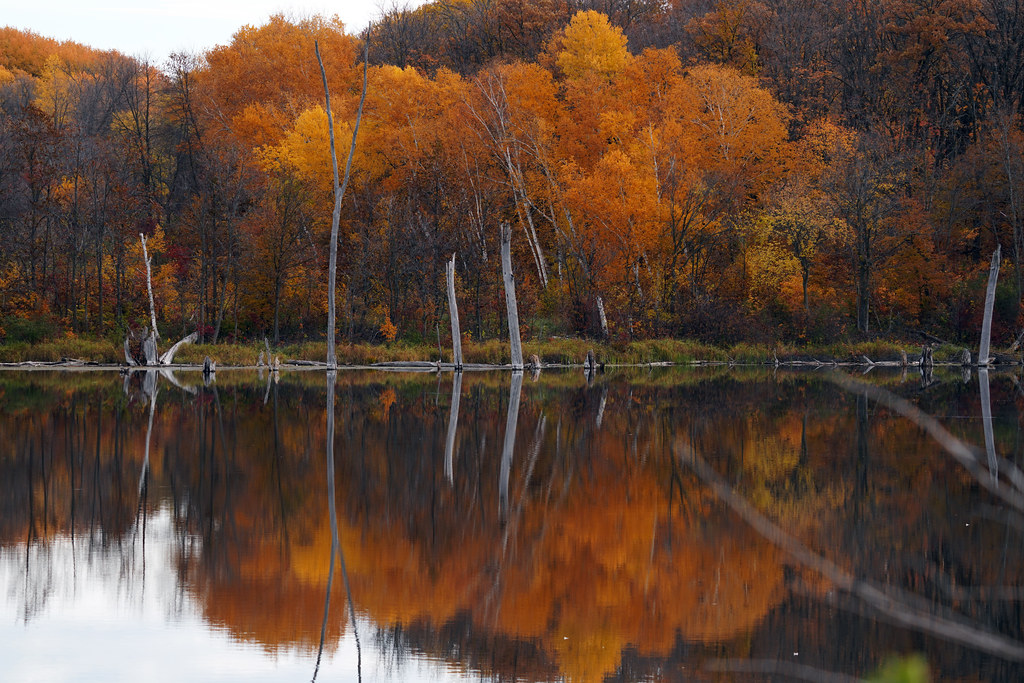 Fall color at Maplewood State Park Photo by Courtney Celle… Flickr
