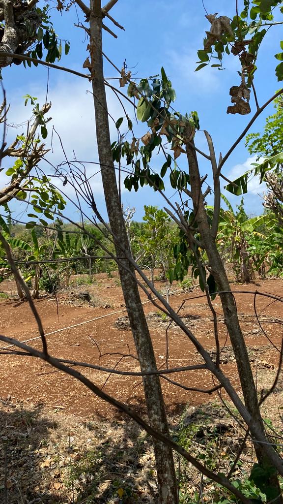 Land For Sale 150 Are Ocean View Karma Kandara Land For Sa… Flickr